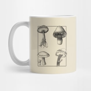 Botanical Mushrooms lineart Mug